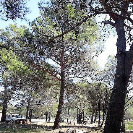 Eco Secluded Apartments Zabodarski Cunski Екстер'єр фото