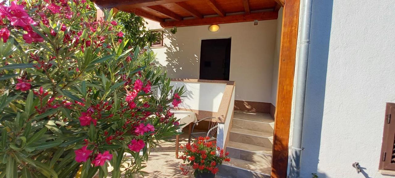 Eco Secluded Apartments Zabodarski Cunski Екстер'єр фото
