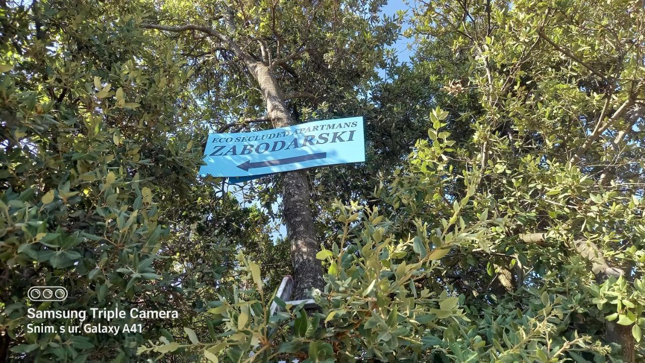 Eco Secluded Apartments Zabodarski Cunski Екстер'єр фото