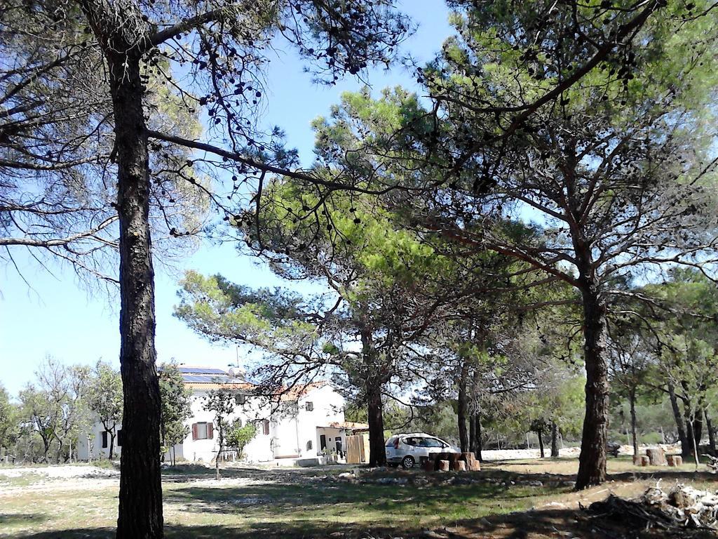 Eco Secluded Apartments Zabodarski Cunski Екстер'єр фото