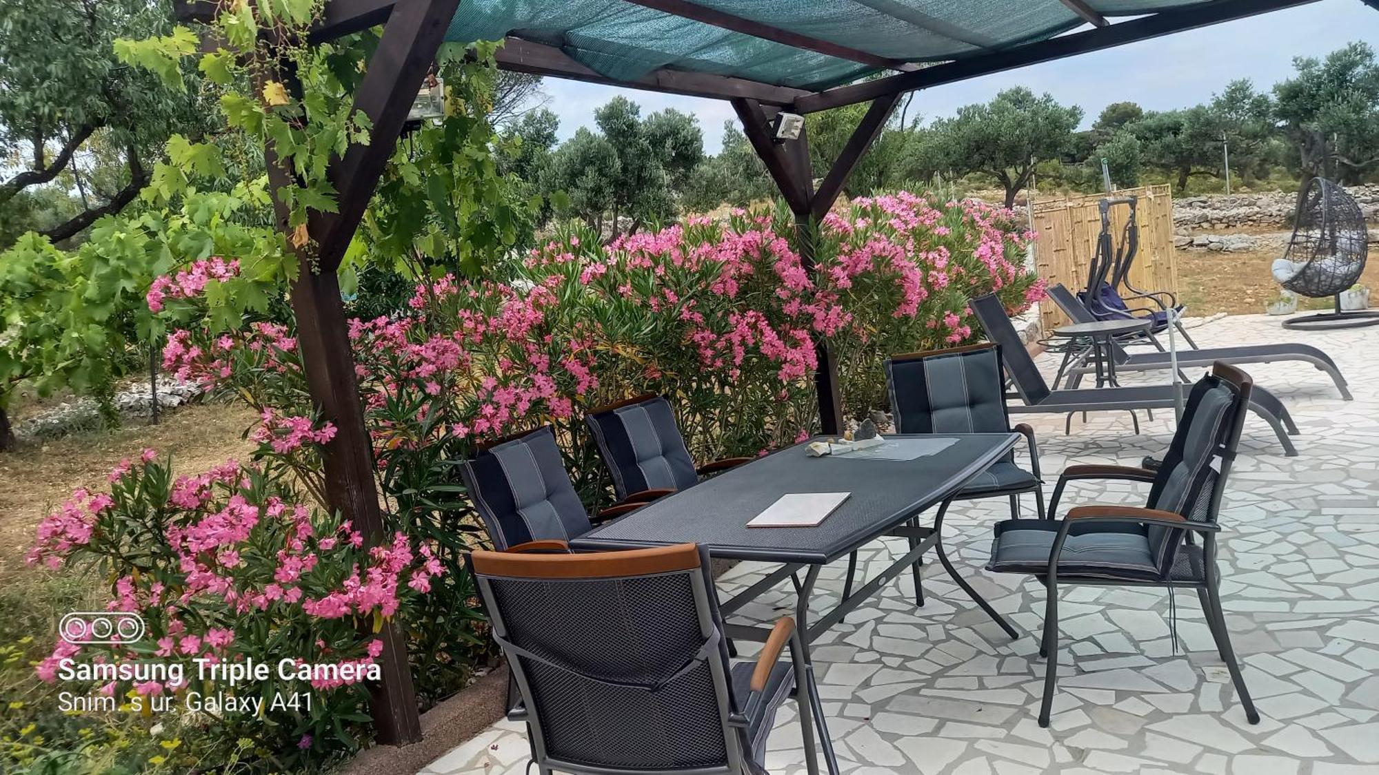 Eco Secluded Apartments Zabodarski Cunski Екстер'єр фото