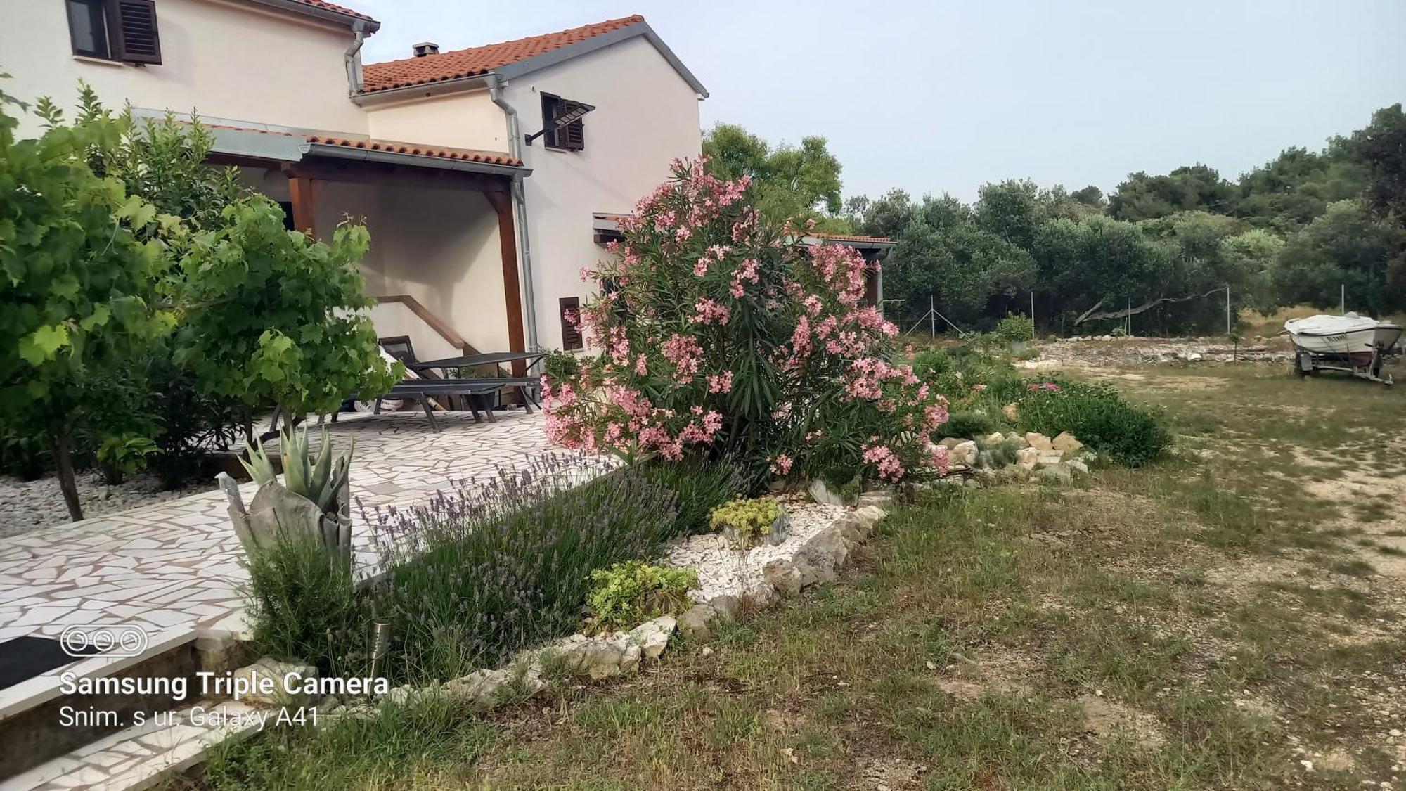 Eco Secluded Apartments Zabodarski Cunski Екстер'єр фото