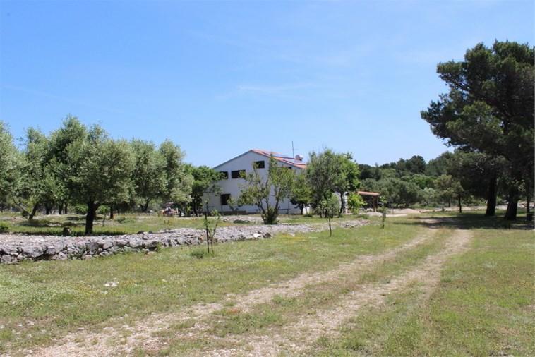 Eco Secluded Apartments Zabodarski Cunski Екстер'єр фото