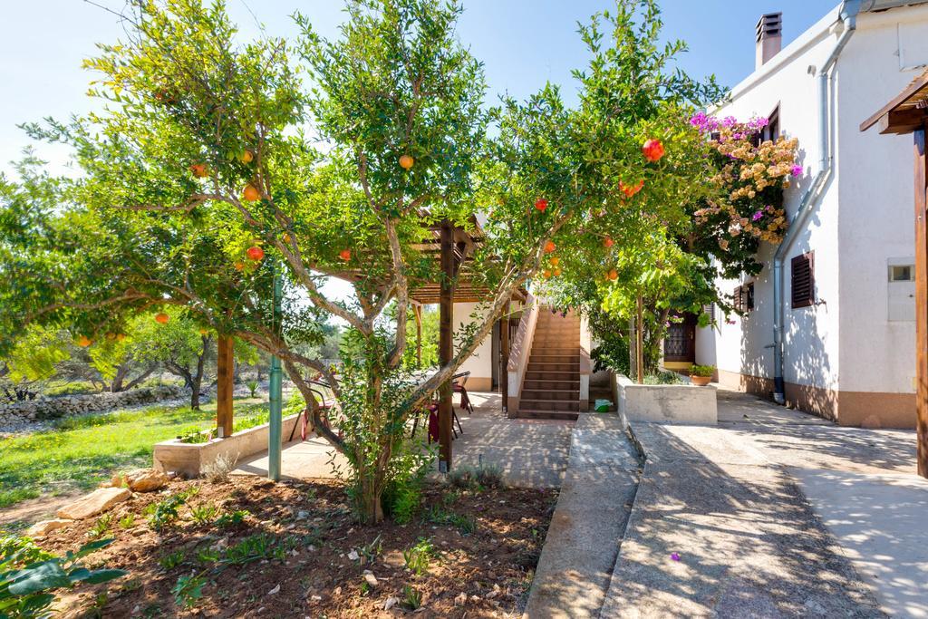 Eco Secluded Apartments Zabodarski Cunski Екстер'єр фото