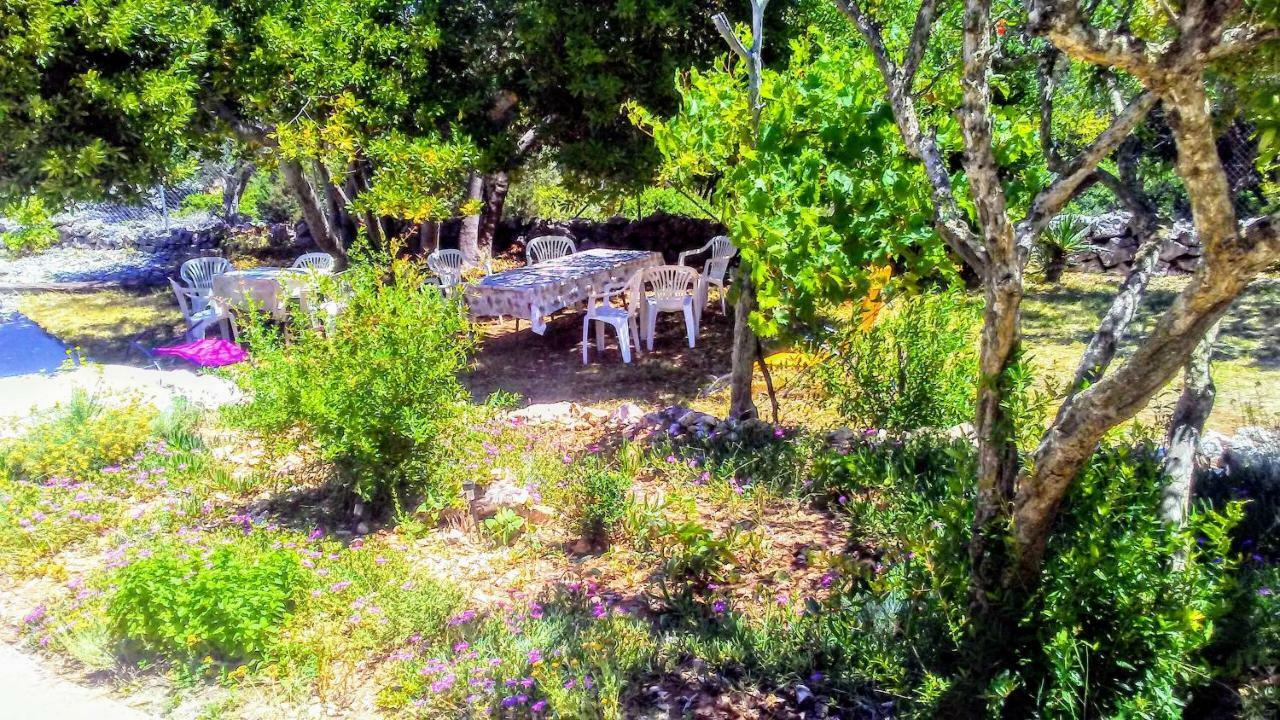 Eco Secluded Apartments Zabodarski Cunski Екстер'єр фото